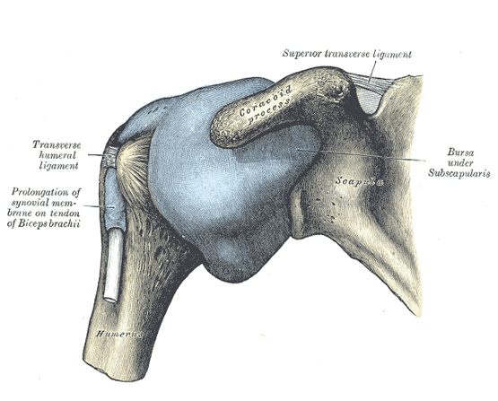 FROZEN SHOULDER